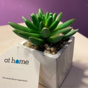 Fake Succulent Plant